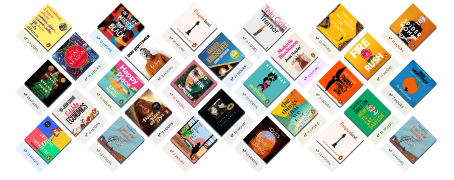 Selection of book covers showing available audiobooks on the Libby app.